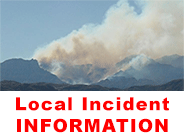 Local Incident Information